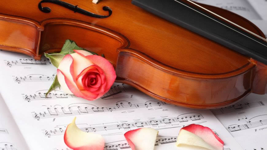小提琴旁的玫瑰花高清壁纸图片 1920x1080