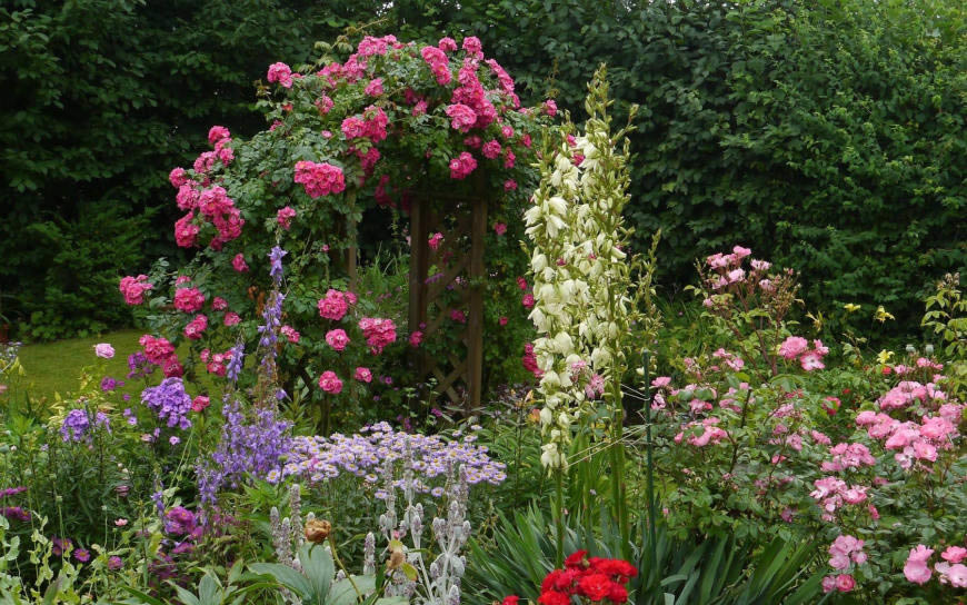 美丽花园里的花丛高清壁纸图片 1680x1050