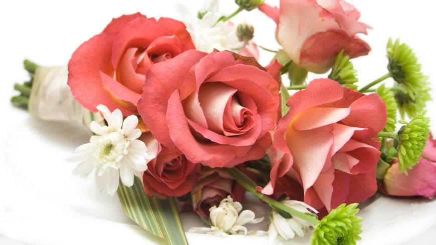 美丽的玫瑰花高清壁纸图片 1920x1080