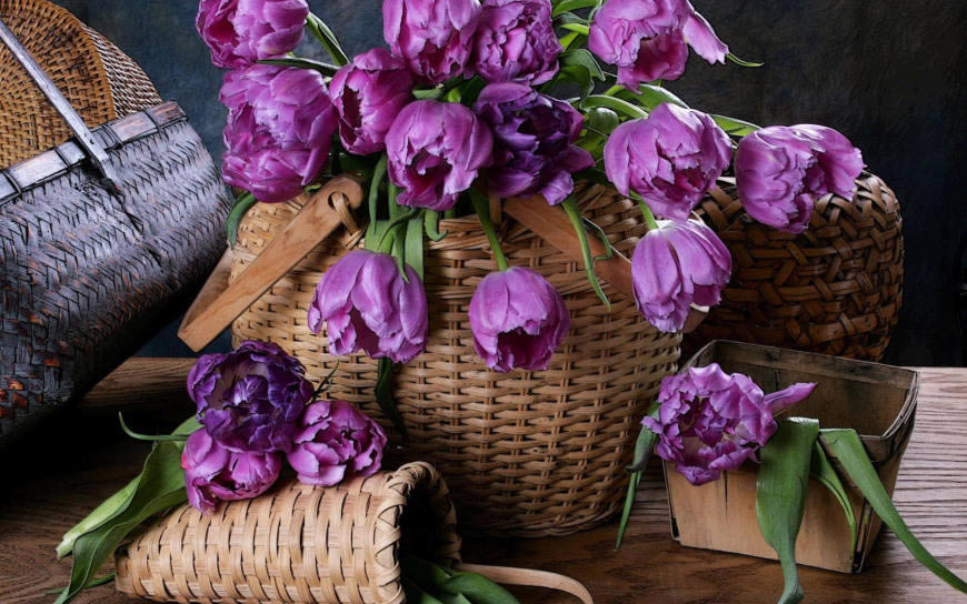 篮子里的紫色郁金香高清壁纸图片 1680x1050