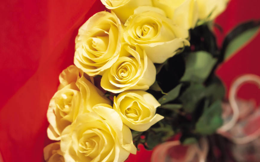 黄玫瑰花束高清壁纸图片 1920x1200
