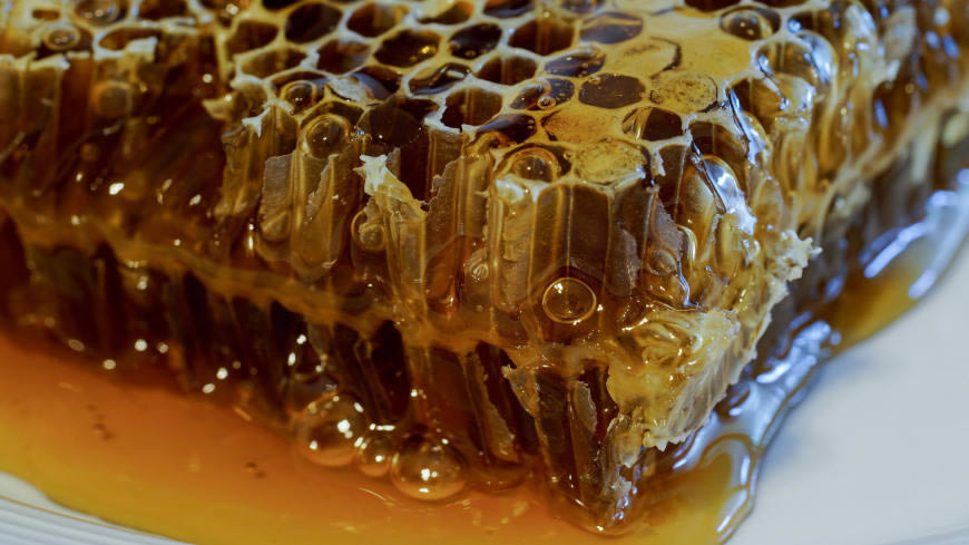 蜂巢里的蜂蜜高清壁纸图片 1920x1080