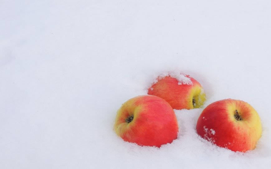 深埋积雪的三个苹果高清壁纸图片 1680x1050