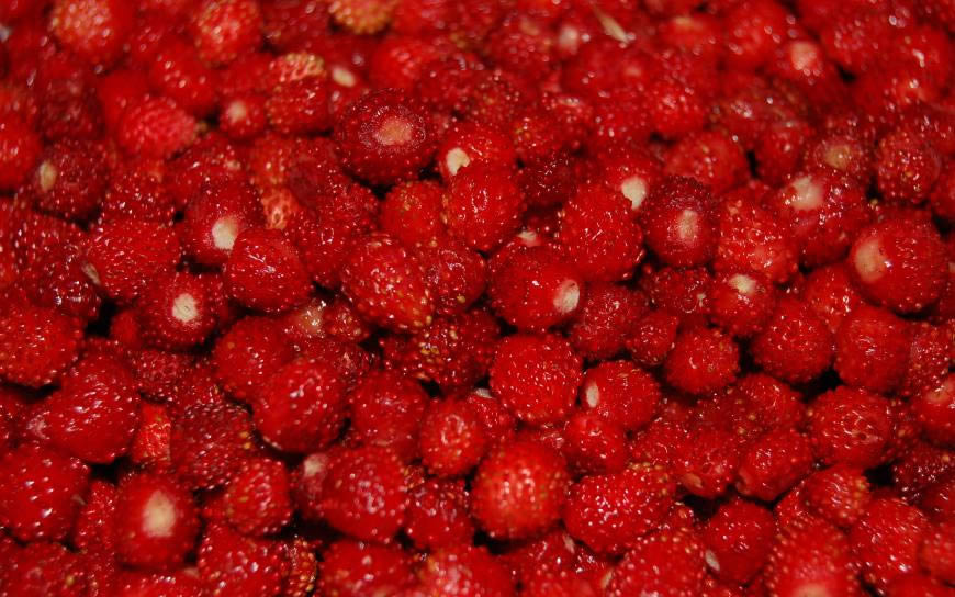 新鲜红色野草莓高清壁纸图片 2560x1600