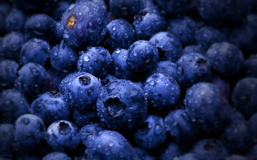 蓝莓高清壁纸图片 2560x1600