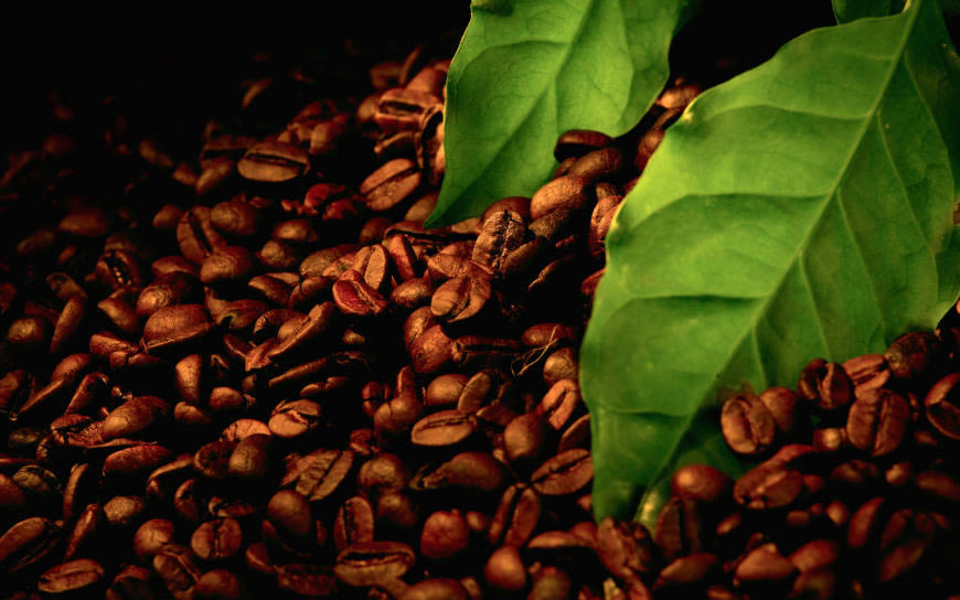 咖啡豆高清壁纸图片 2560x1600