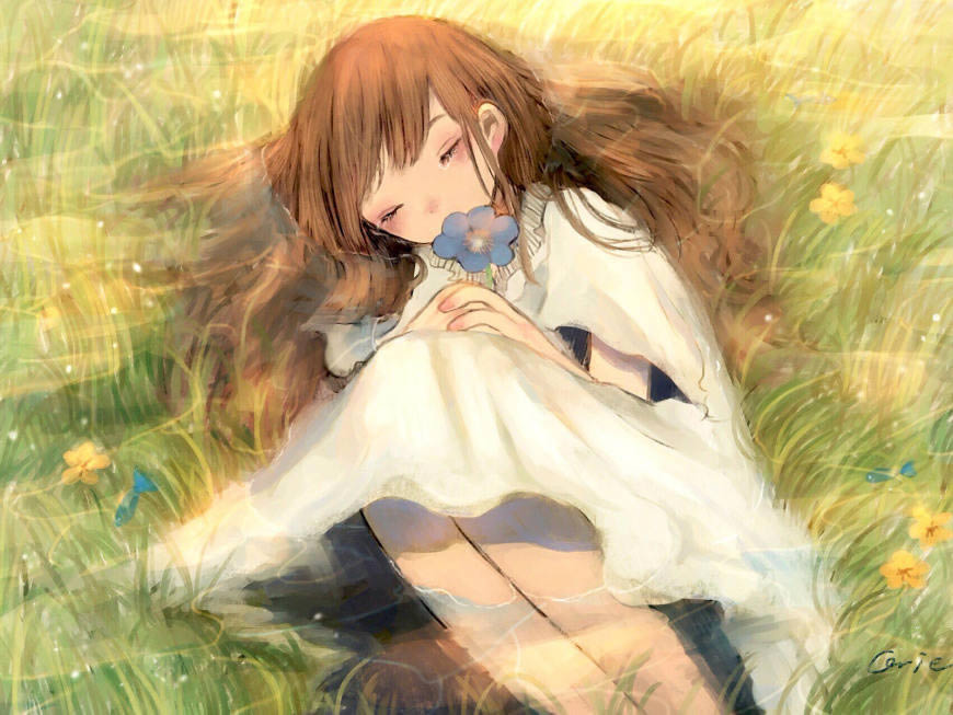 躺在草地上哭泣的动漫美女高清壁纸图片 1600x1200