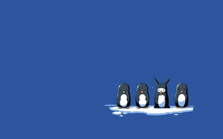 简约可爱企鹅漫画高清壁纸图片 1680x1050