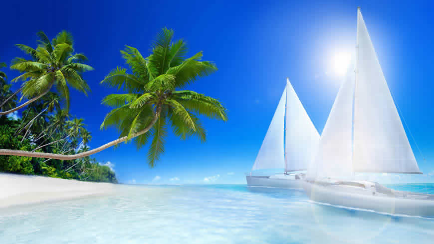 海滩棕榈树和帆船高清壁纸图片 2560x1440