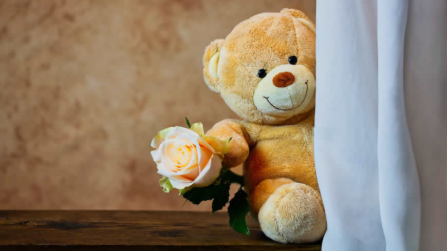 可爱的泰迪熊与玫瑰高清壁纸图片 5120x2880