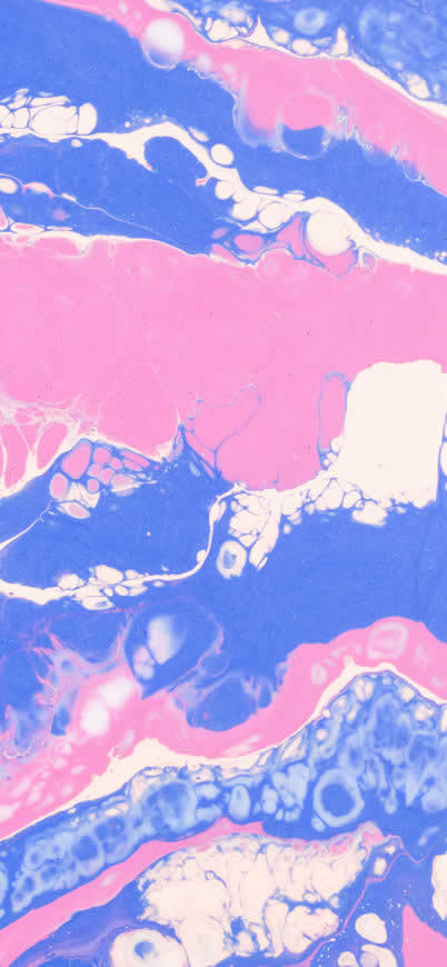 粉色蓝色白色液态颜料背景高清壁纸图片 1125x2436
