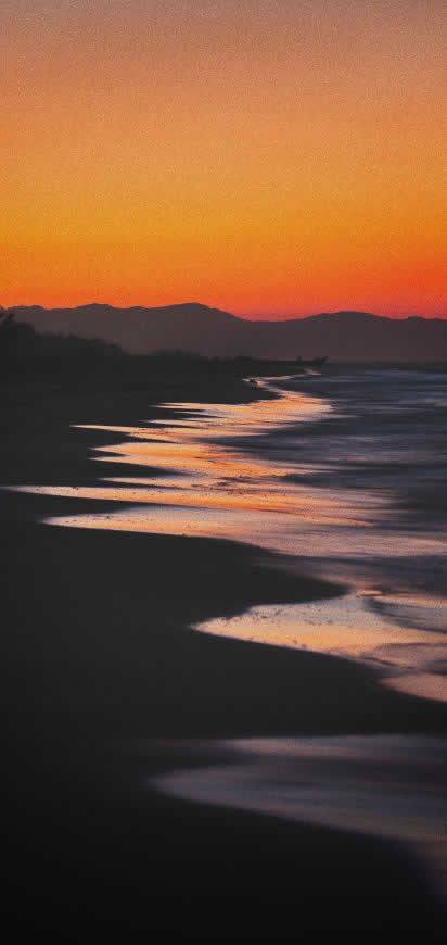 黄昏 海滩高清壁纸图片 1421x3000