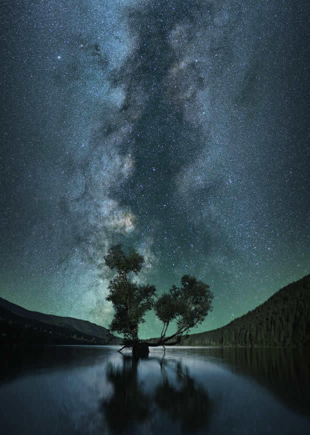 夜景 星空 湖中心的树高清壁纸图片 2143x3000