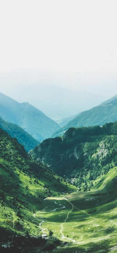 绿色 山脉 山谷 森林高清壁纸图片 1242x2688