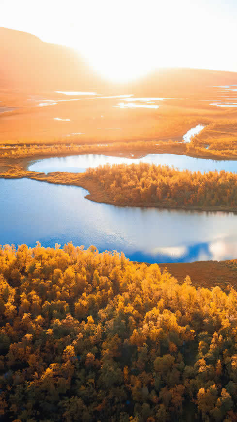 瑞典 拉普兰 日出 河流 森林高清壁纸图片 2160x3840