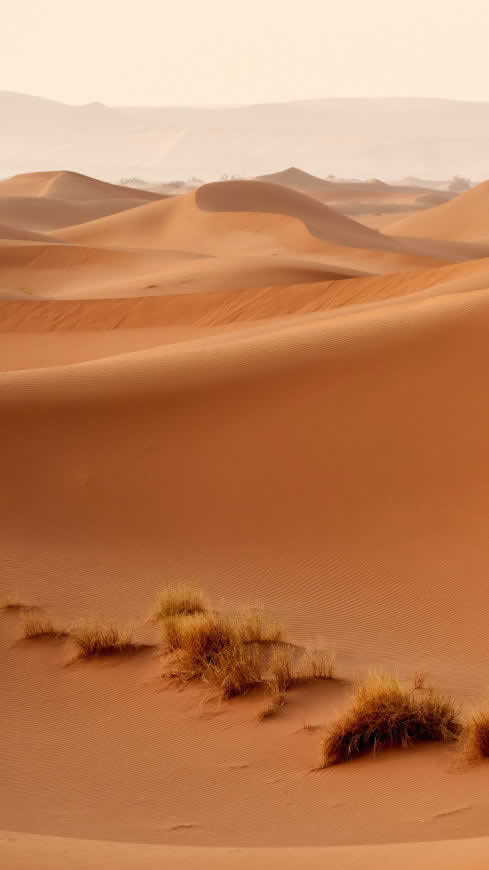 沙漠高清壁纸图片 2160x3840