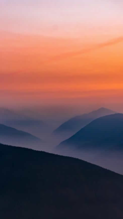 夕阳 雾 奥林匹克国家公园 山脉高清壁纸图片 2160x3840