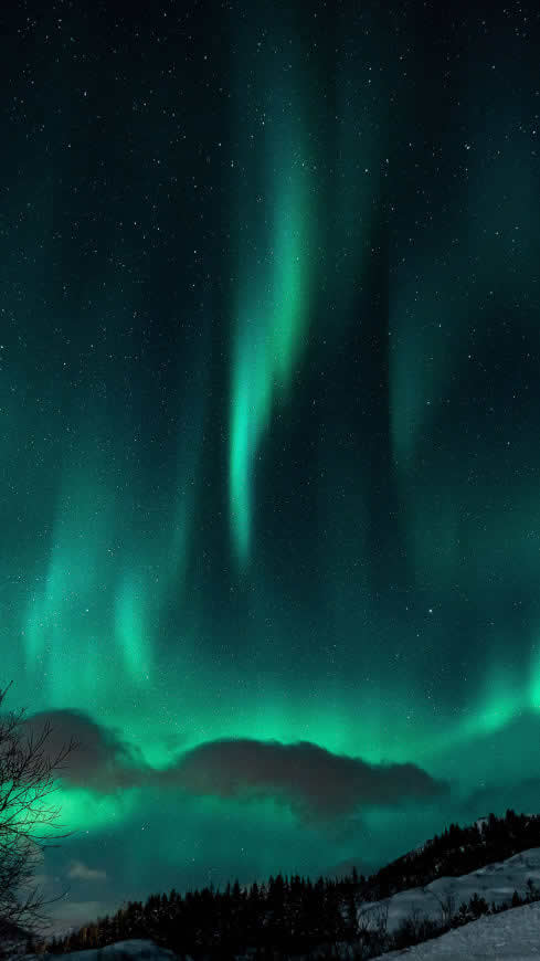 极光 星空高清壁纸图片 2160x3840