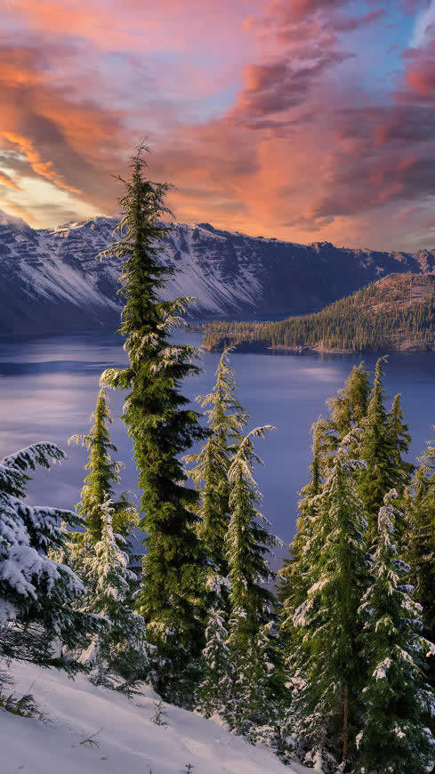 冬天 雪景 湖泊 树木高清壁纸图片 2160x3840