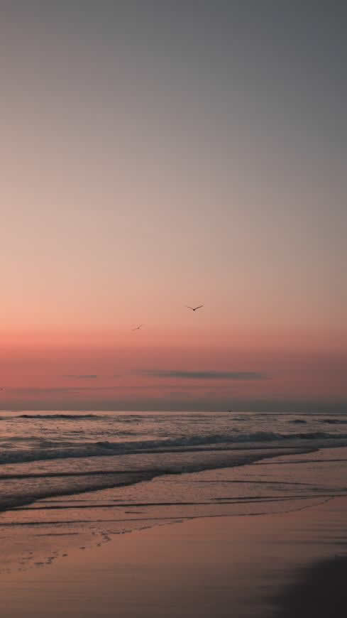 夕阳中的海滩高清壁纸图片 2160x3840