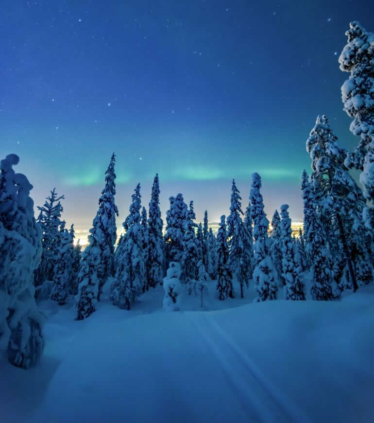 冬天的树林雪景高清壁纸图片 4000x4517