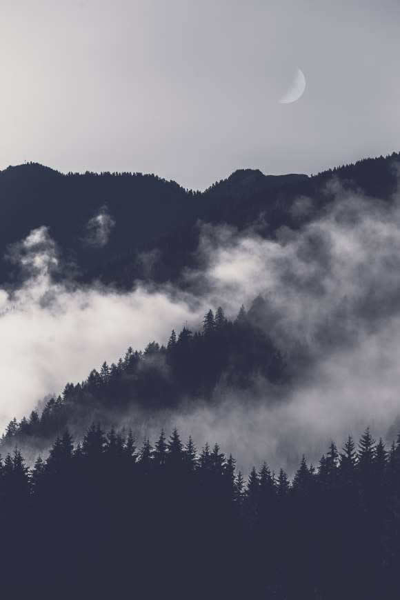雾蒙蒙的山林高清壁纸图片 3648x5472
