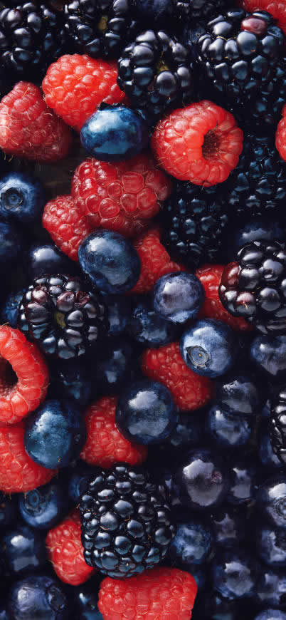 草莓 蓝莓 浆果高清壁纸图片 1125x2436
