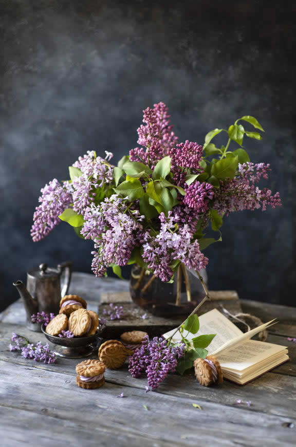 丁香花饼干书高清壁纸图片 1564x2362