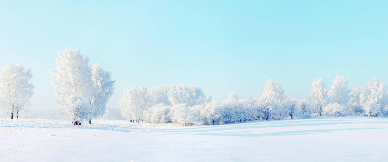 冬天雪景树雪地3440x1440壁纸