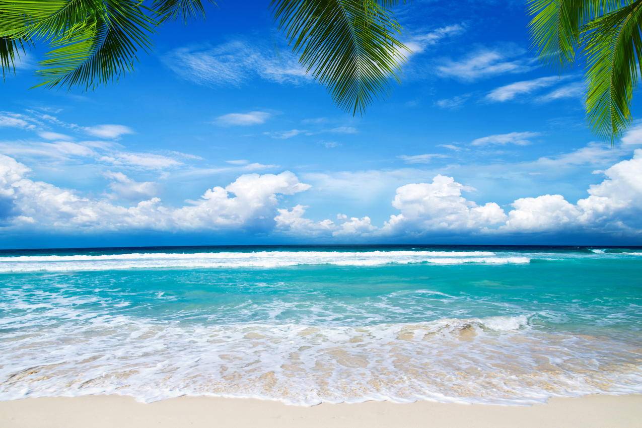 夏季海滩海边风景4K壁纸