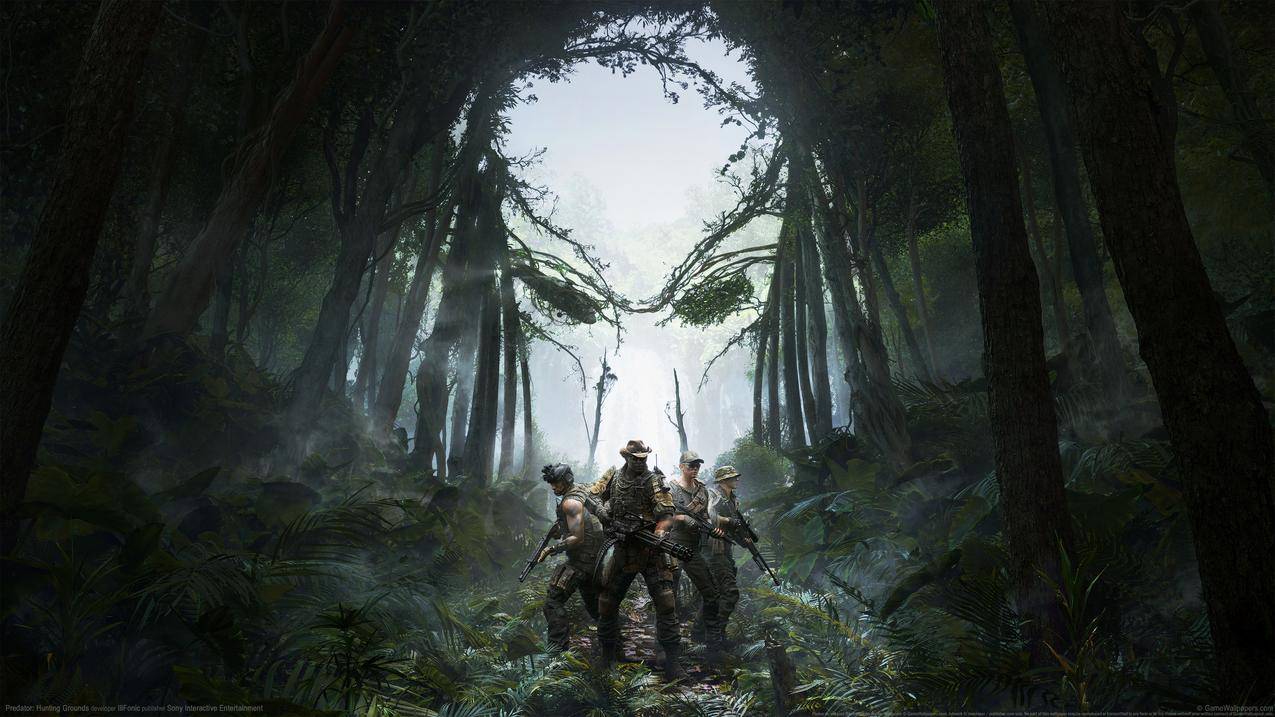 铁血战士_狩猎场Predator_,Hunting,Grounds4k游戏壁纸