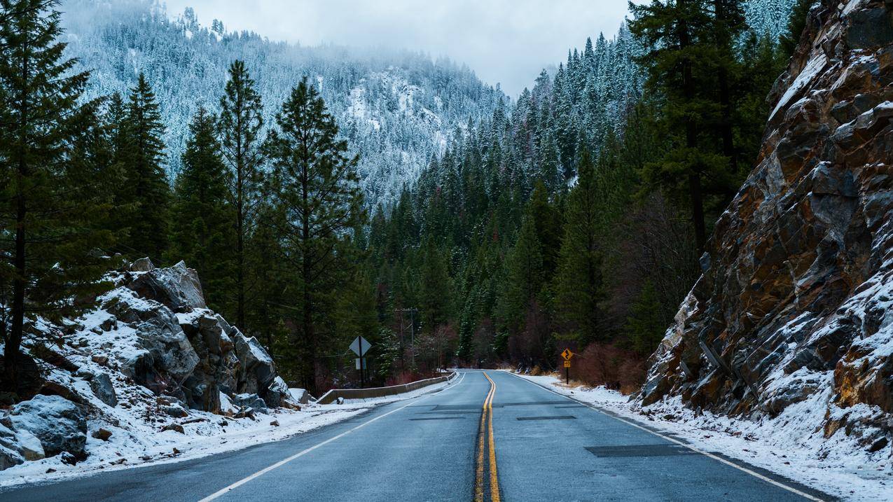 森林,道路,雪,冬天风景4k壁纸