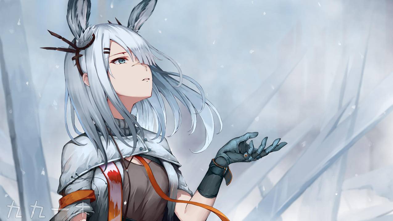 女孩,雪花,兽耳,冰冷,4K高清动漫壁纸