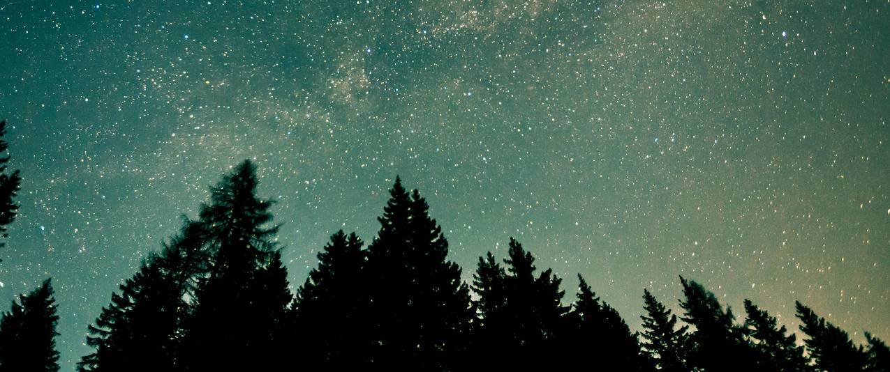森林星空夜间3440x1440风景壁纸