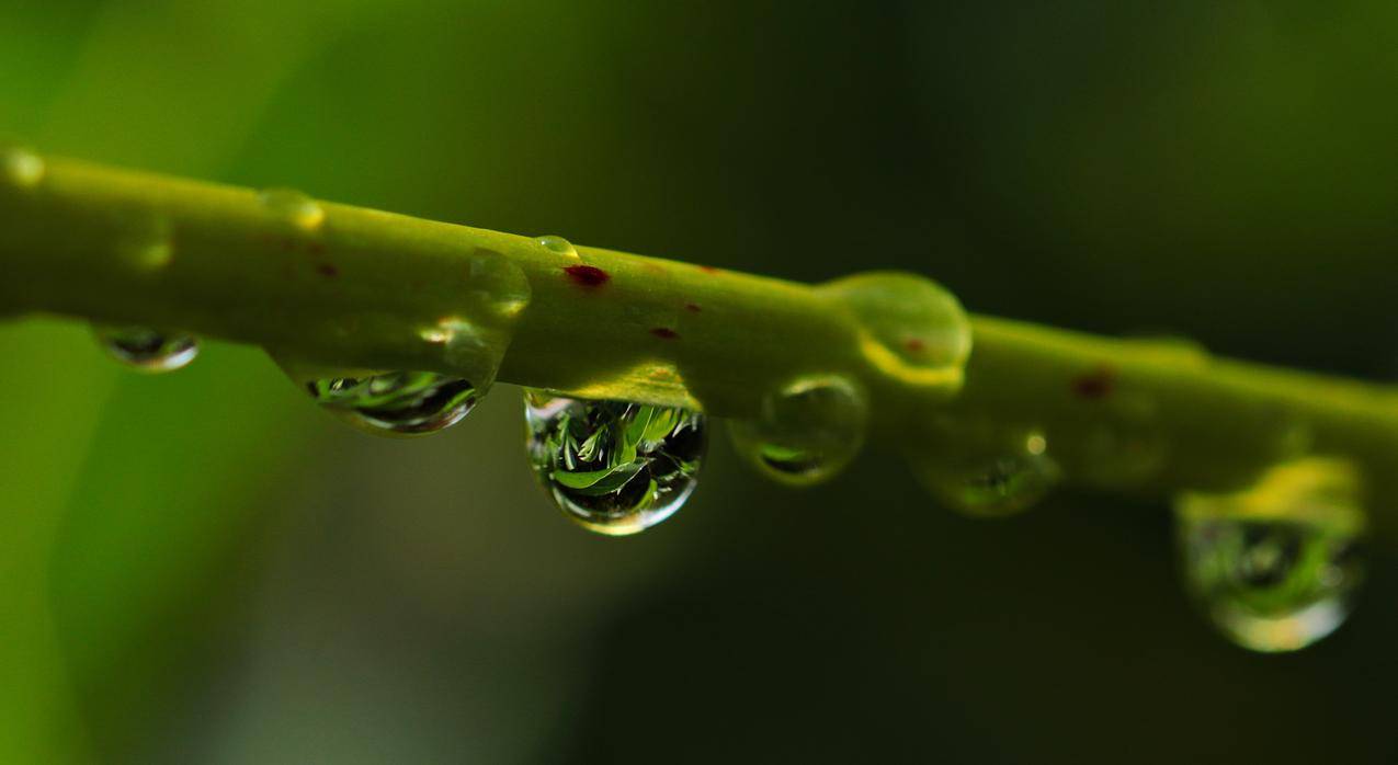一滴水,雨滴,心情,水滴,4K壁纸