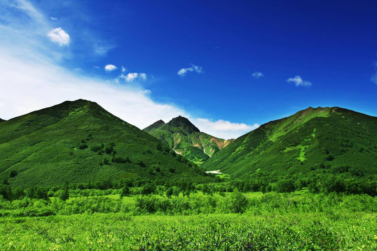 自然,绿草,天空,4K风景壁纸
