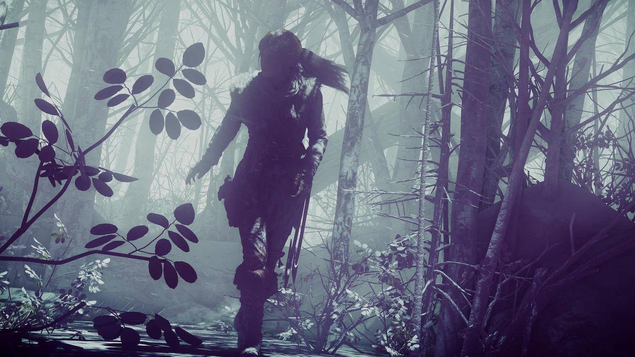 《古墓丽影系列/Tomb,Raider》,4K游戏高清壁纸
