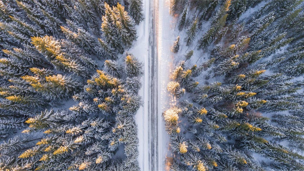 俯视,森林,雪景,风景,4k高清壁纸
