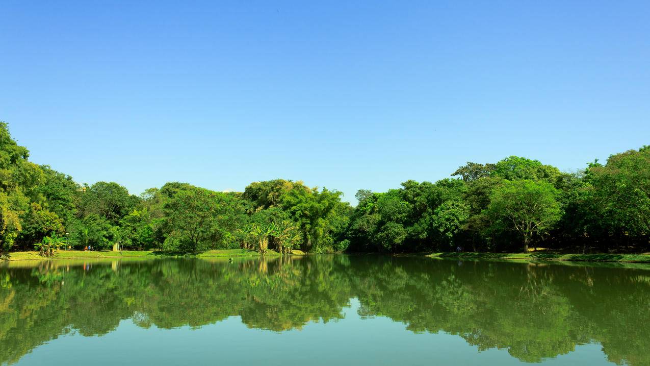 湖,公园,树木,天空,4K风景壁纸