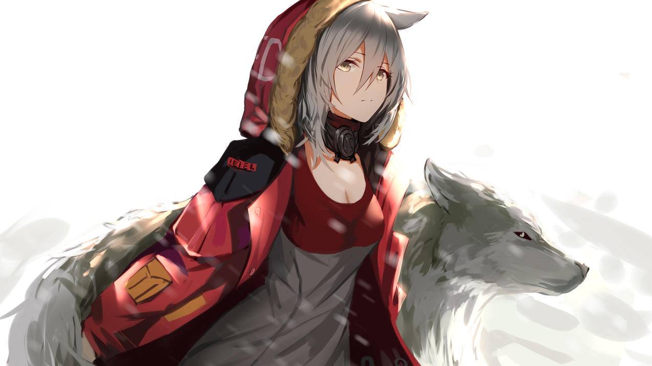 《明日方舟》,红狼,女孩子,狼,4K动漫壁纸