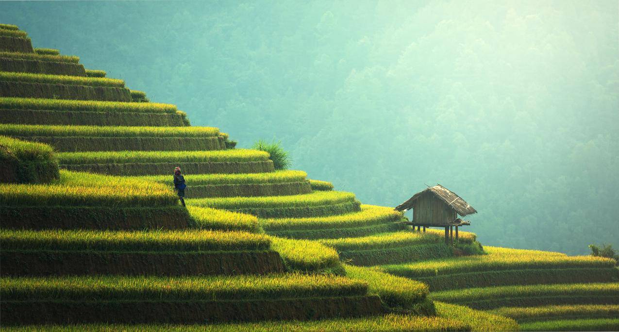 秋天,梯田风景,7K高清护眼壁纸
