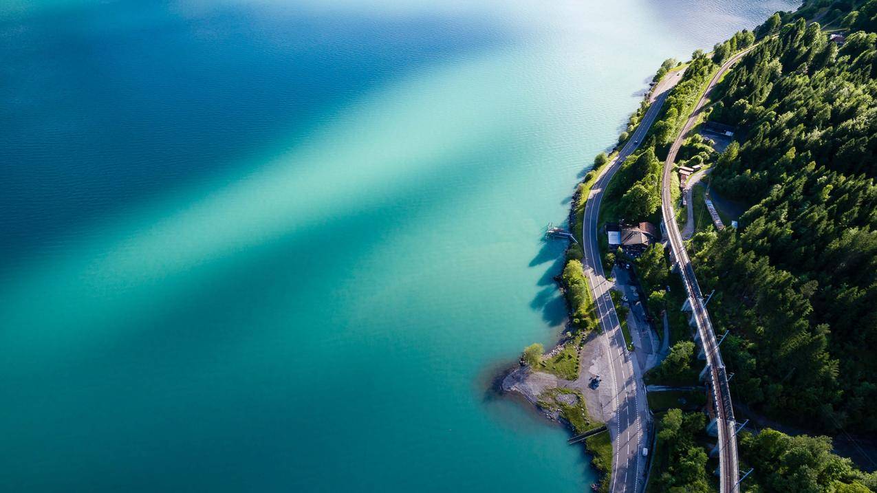 美丽的海洋,海边风景,道路,树林,4K风景壁纸