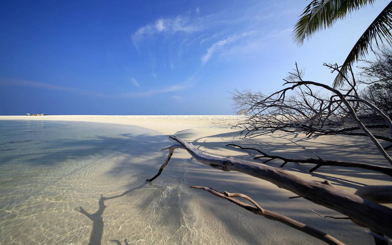 马尔代夫,海滩,蓝天,4K风景壁纸