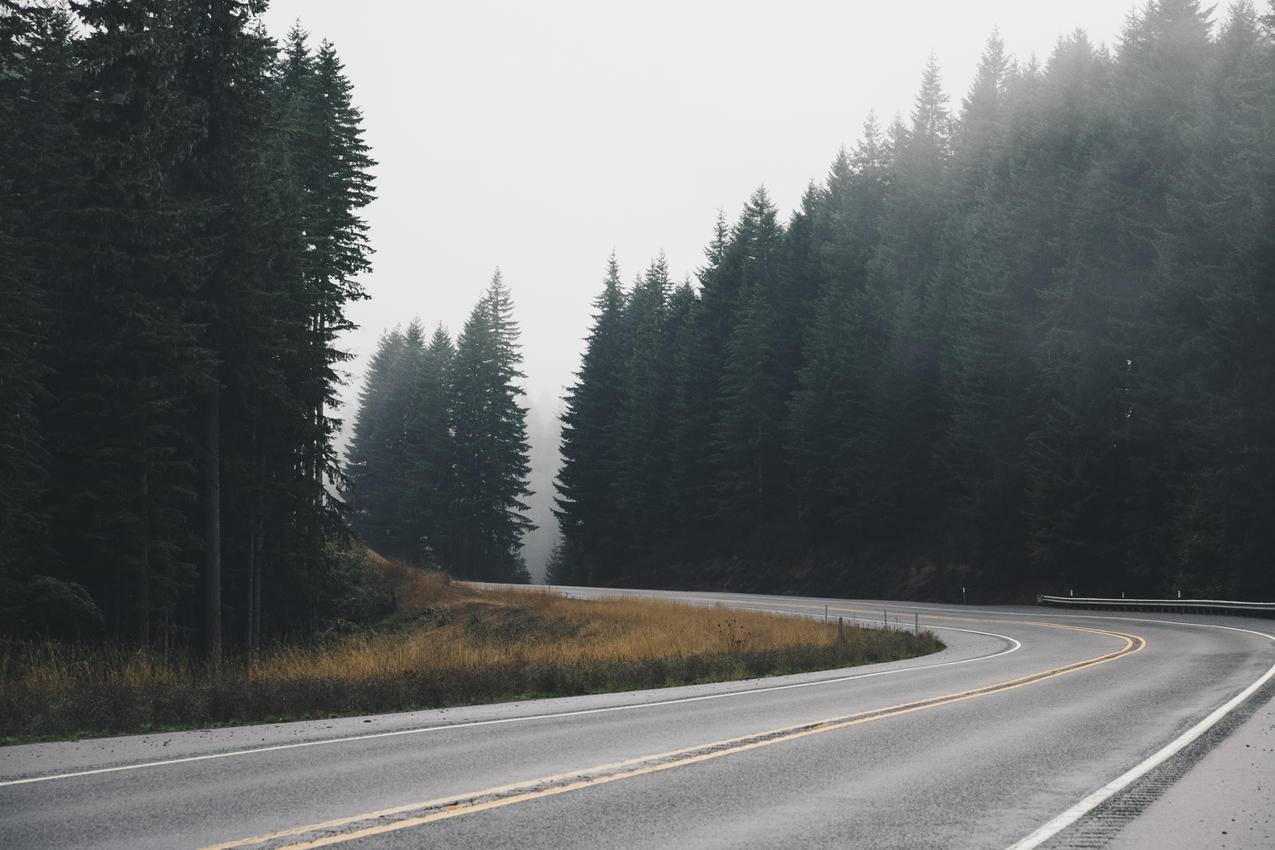 道路,转弯,森林,平坦,5k壁纸