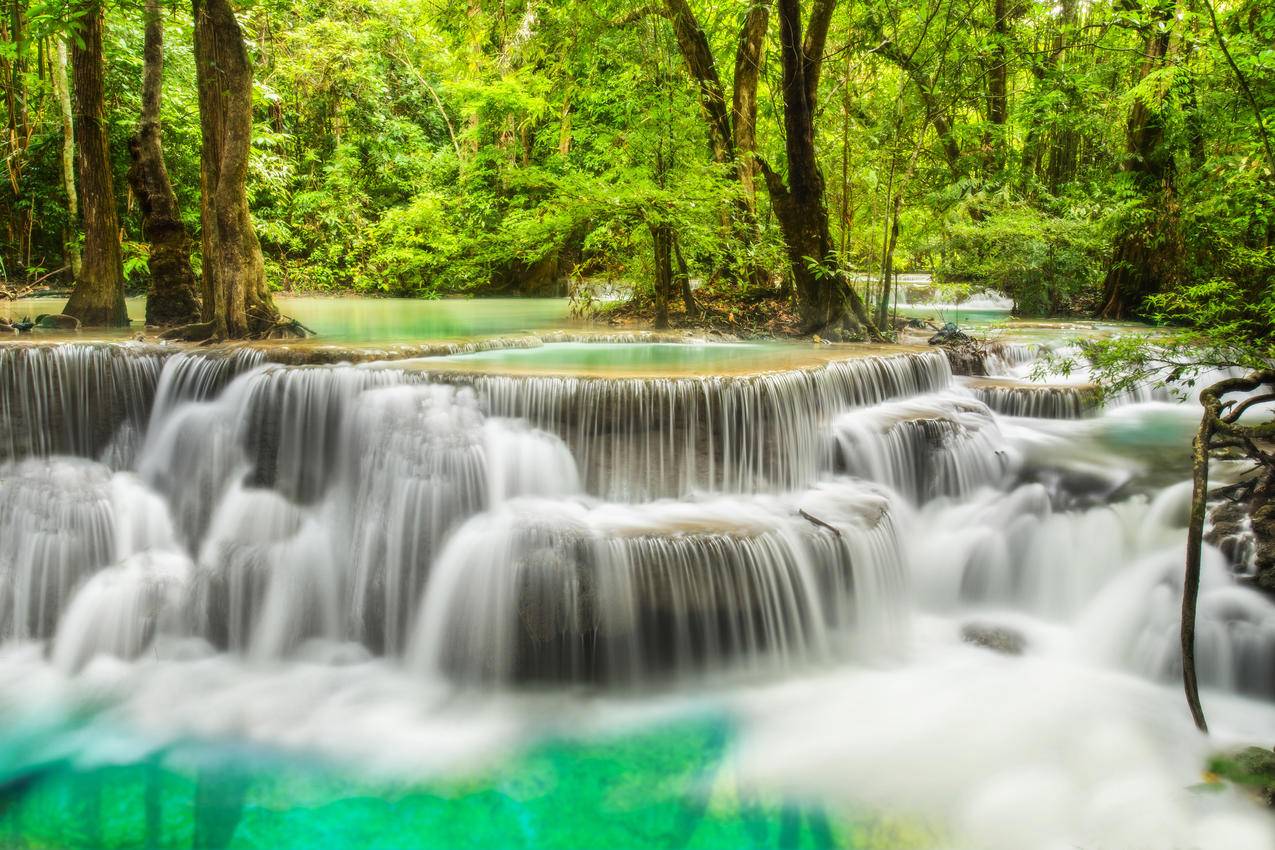 瀑布,绿色森林,风景,4K壁纸