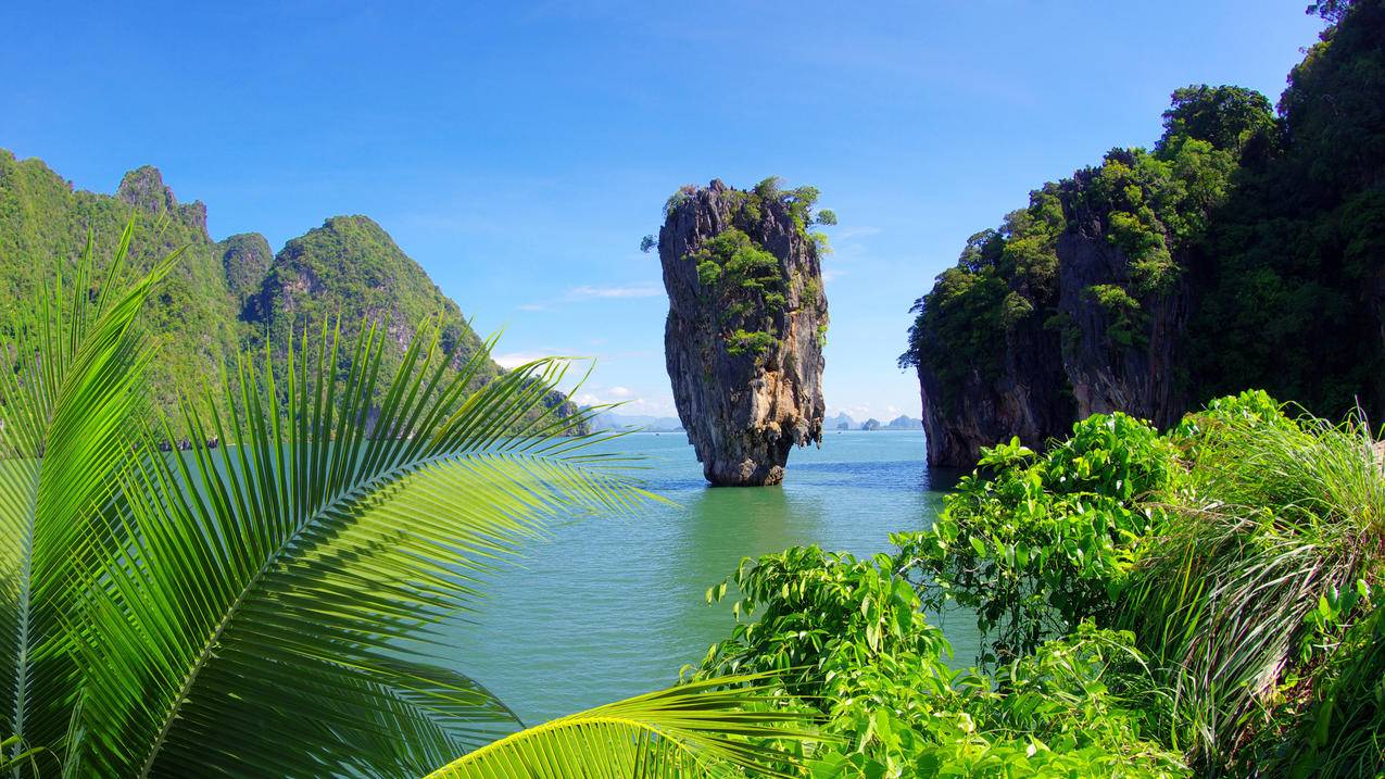 热带,海,棕榈树,灌木,树木,岩石,4K风景壁纸