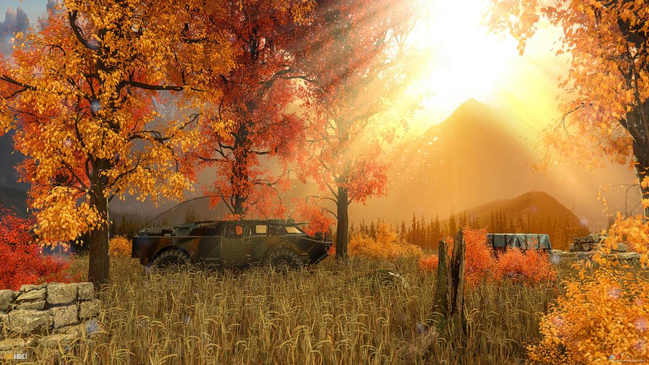 《绝地求生pubg》阳光,枫叶林,车,草地,4K高清壁纸