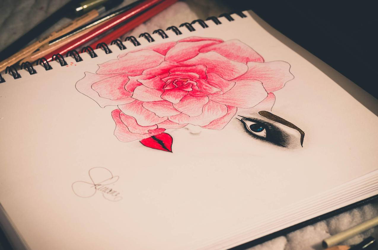 女子,脸,女孩,画像,眼睛,花,4K背景图片