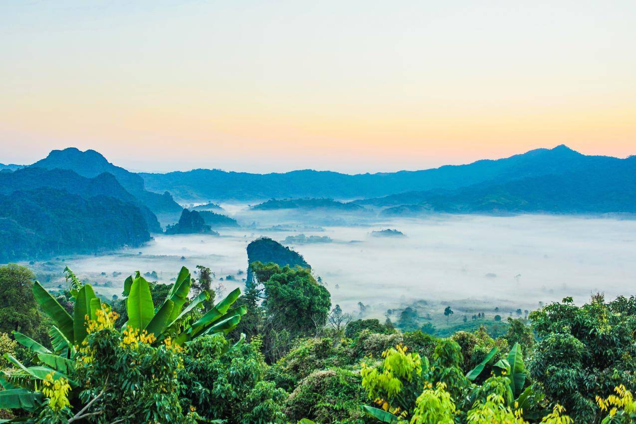 山景