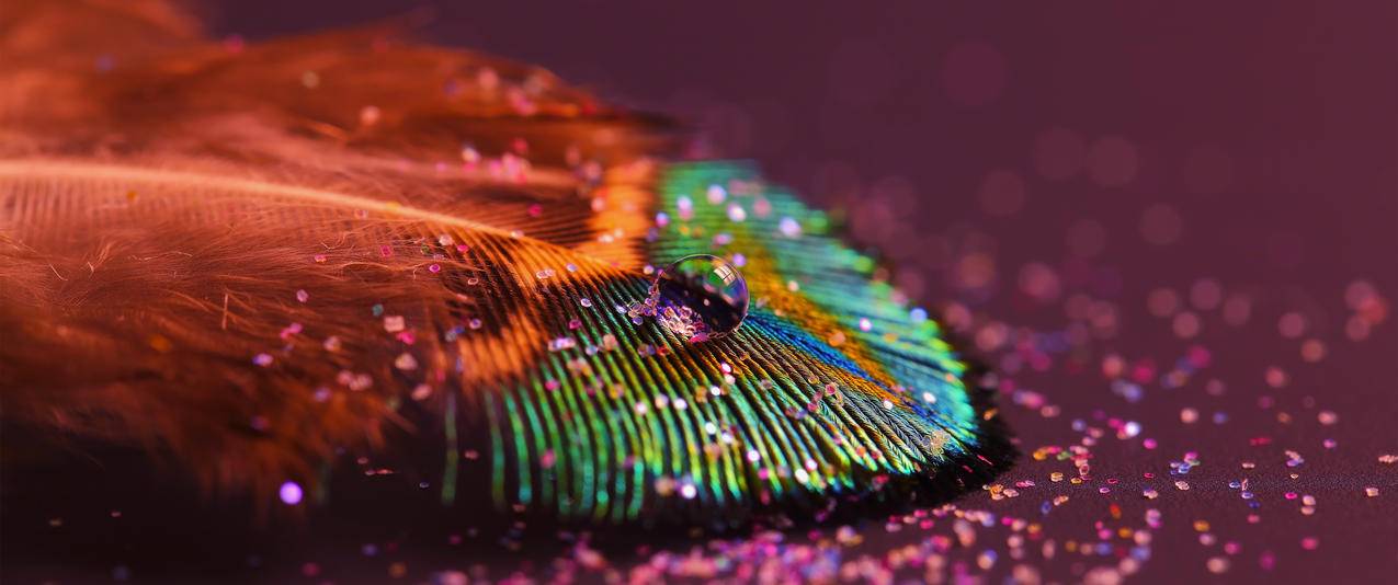 孔雀羽毛水滴3440x1440壁纸